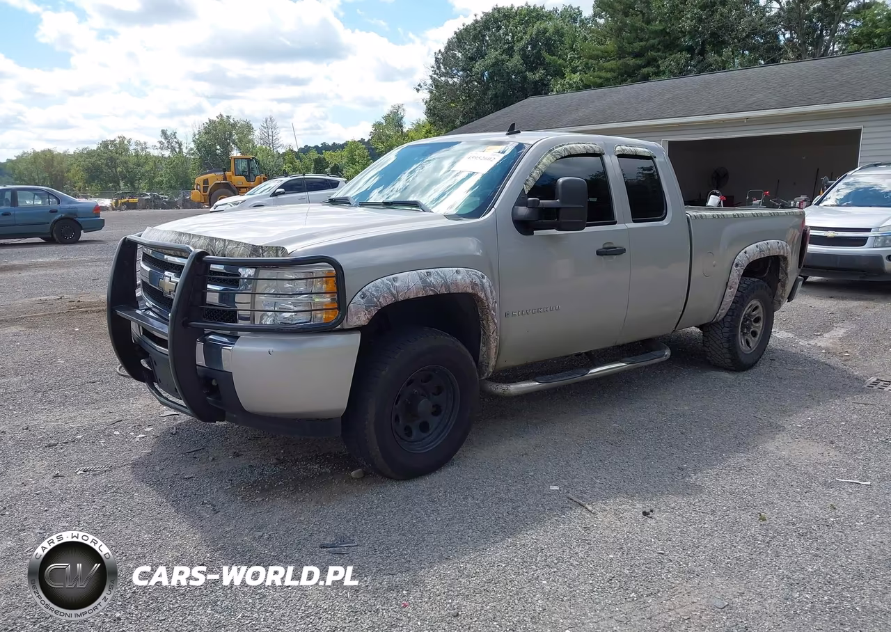 2009 Chevrolet Silverado 1500 Work Truck VIN:1GCEK19C69Z148259 - 2