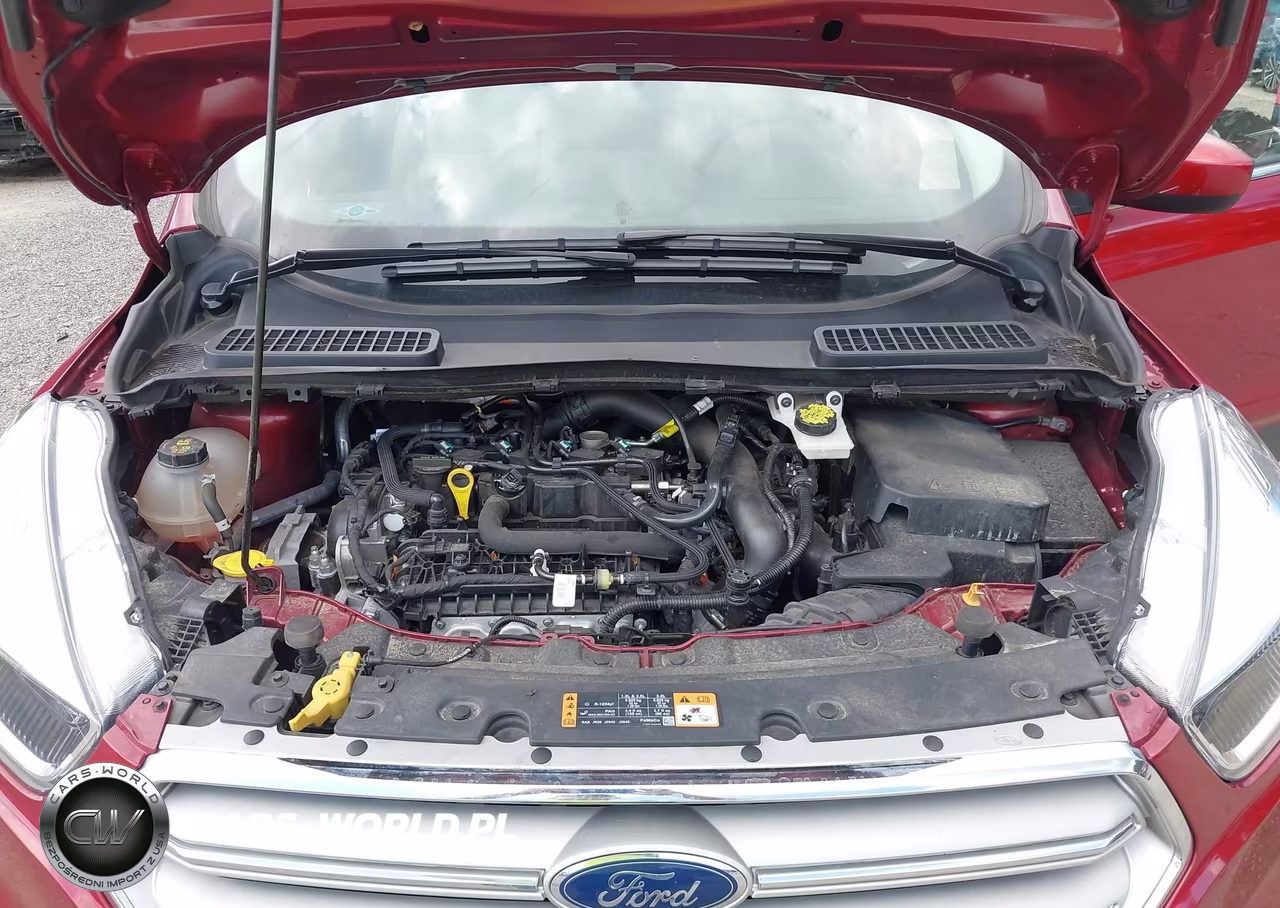 2019 Ford Escape Se VIN:1FMCU0GD6KUA14227 - 10