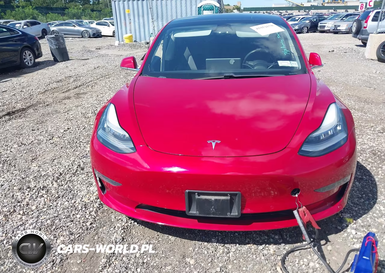 2020 Tesla Model 3 Standard Range Plus Rear-Wheel Drive-Standard Range Rear-Wheel Drive VIN:5YJ3E1EA8LF792975 - 11