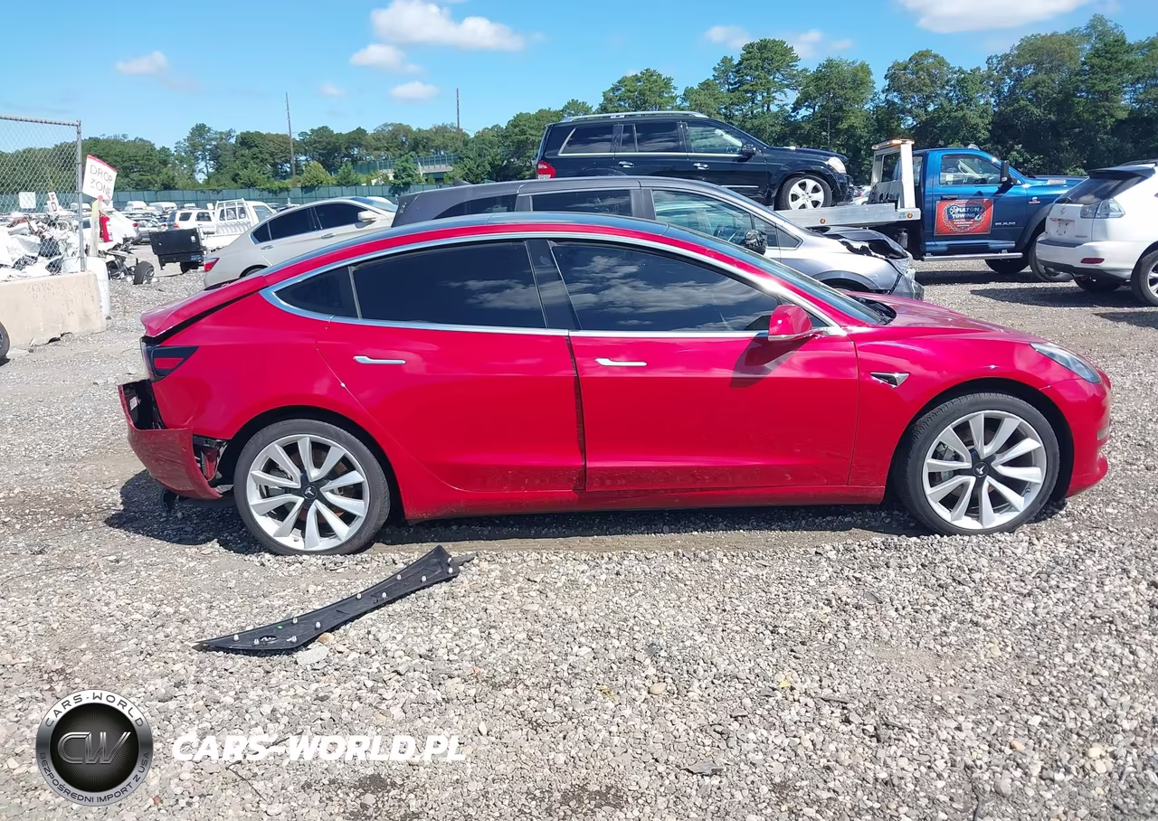 2020 Tesla Model 3 Standard Range Plus Rear-Wheel Drive-Standard Range Rear-Wheel Drive VIN:5YJ3E1EA8LF792975 - 12