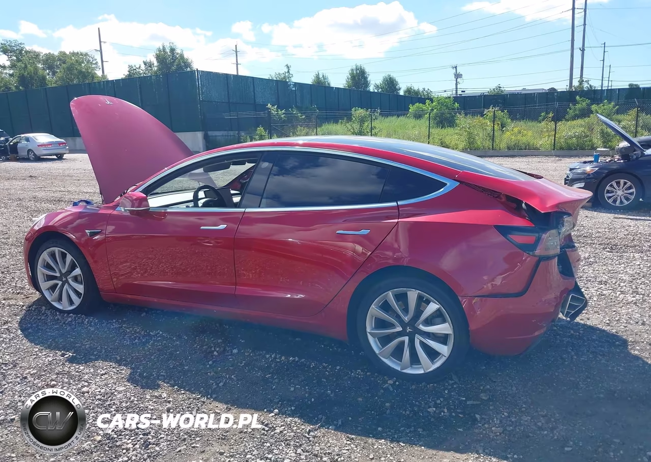 2020 Tesla Model 3 Standard Range Plus Rear-Wheel Drive-Standard Range Rear-Wheel Drive VIN:5YJ3E1EA8LF792975 - 13