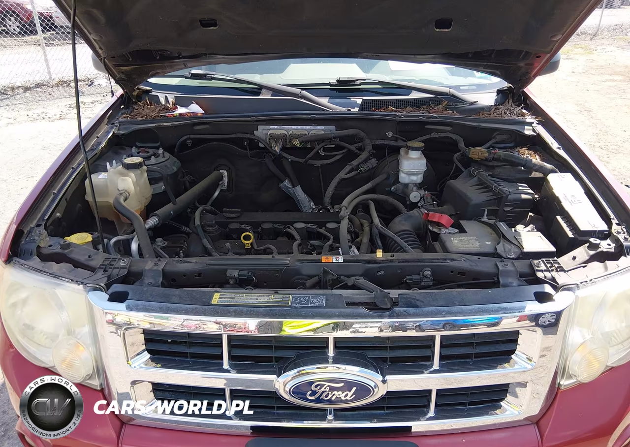 2010 Ford Escape Xlt VIN:1FMCU0D79AKC82228 - 10