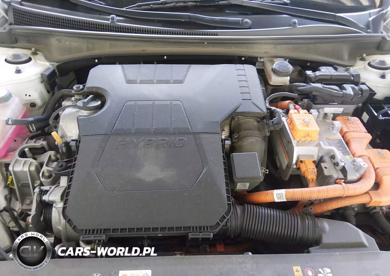2023 Hyundai Elantra Hybrid Limited VIN:KMHLN4AJXPU071170 - 10
