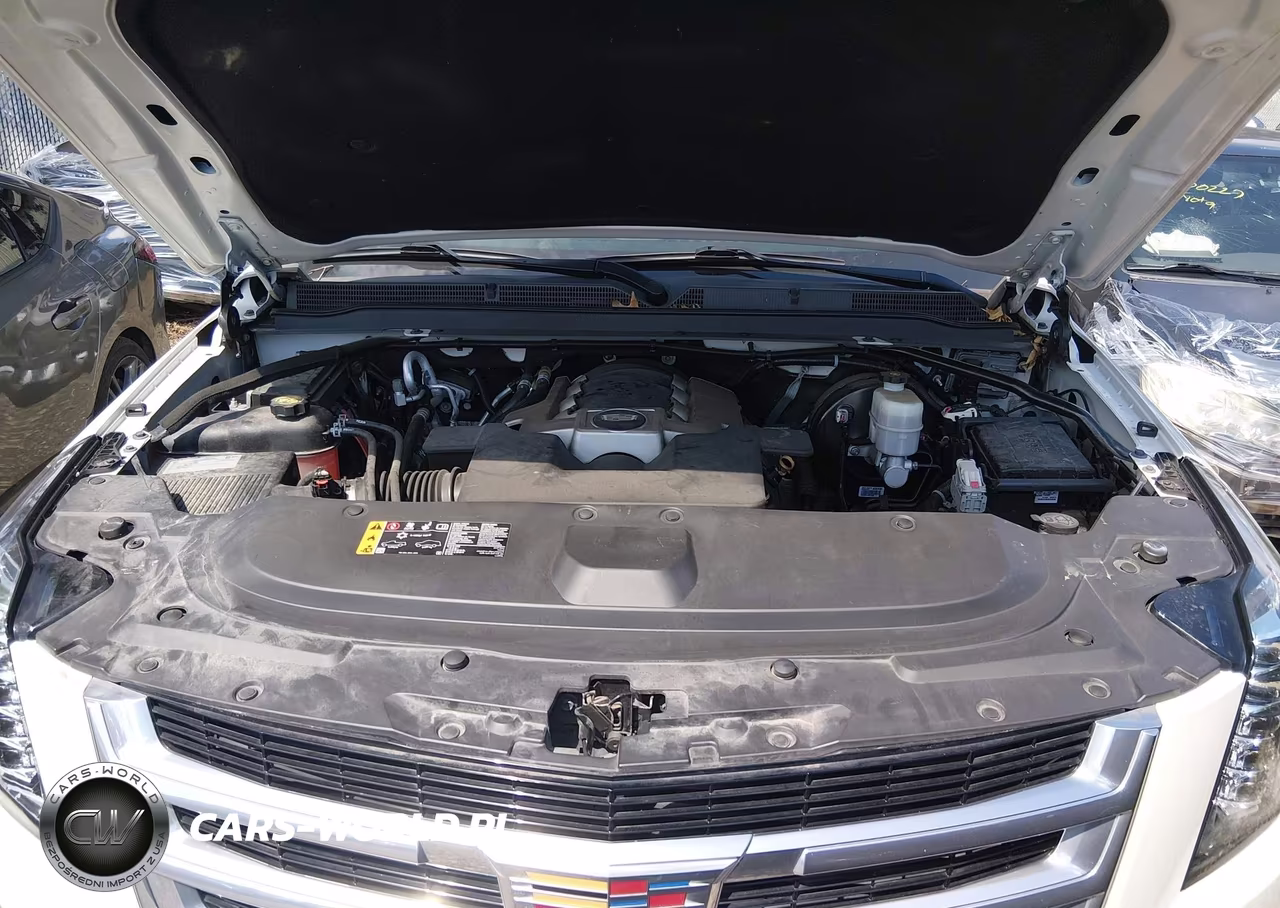 2019 Cadillac Escalade Esv Luxury VIN:1GYS4HKJ4KR355327 - 10