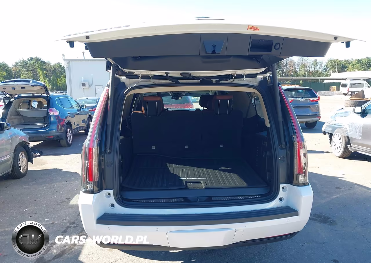 2019 Cadillac Escalade Esv Luxury VIN:1GYS4HKJ4KR355327 - 13