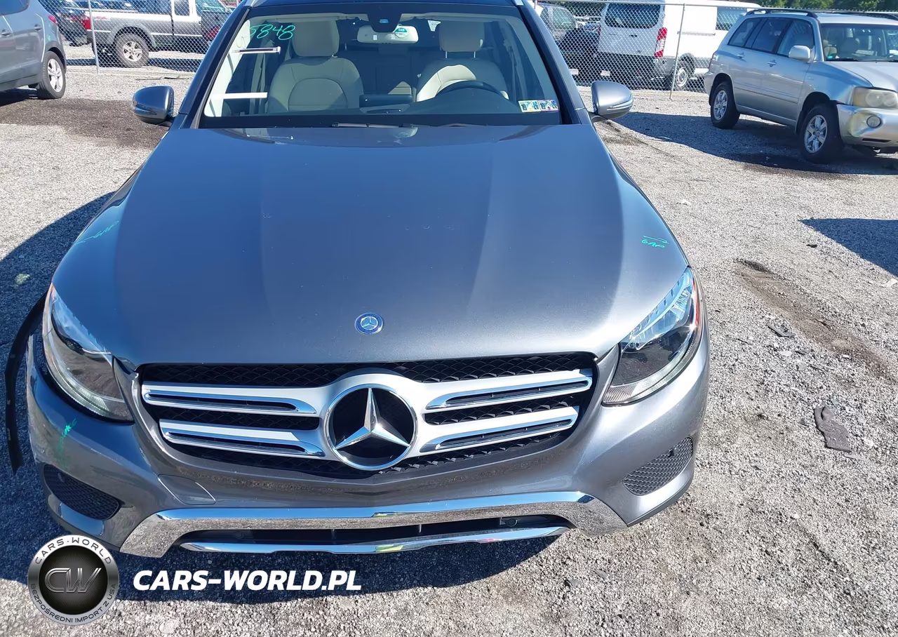 2017 Mercedes-Benz Glc 300 4Matic VIN:WDC0G4KB5HF198661 - 12