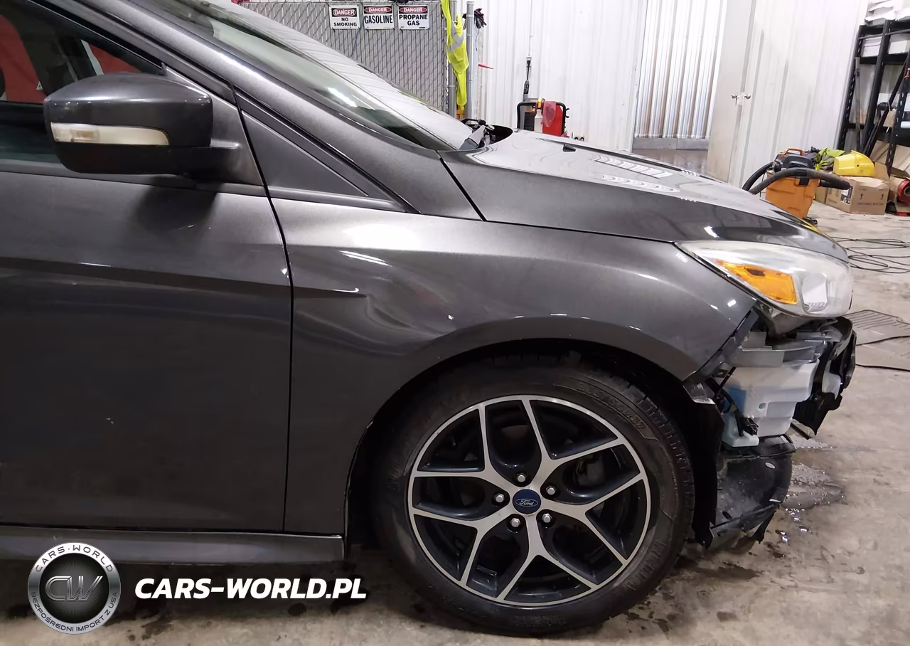 2016 Ford Focus Se VIN:1FADP3F22GL331197 - 19
