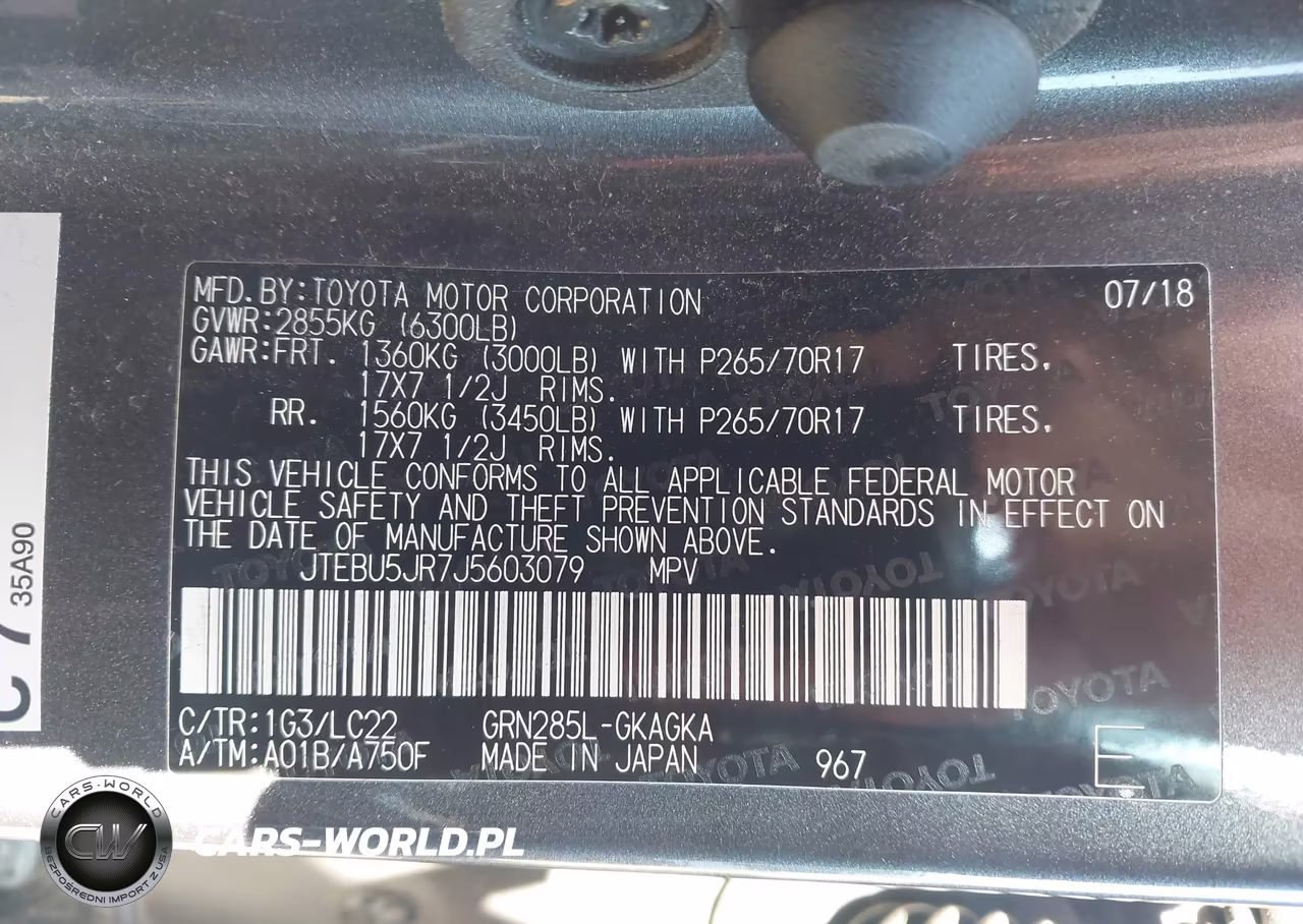 2018 Toyota 4Runner Trd Off Road Premium VIN:JTEBU5JR7J5603079 - 9