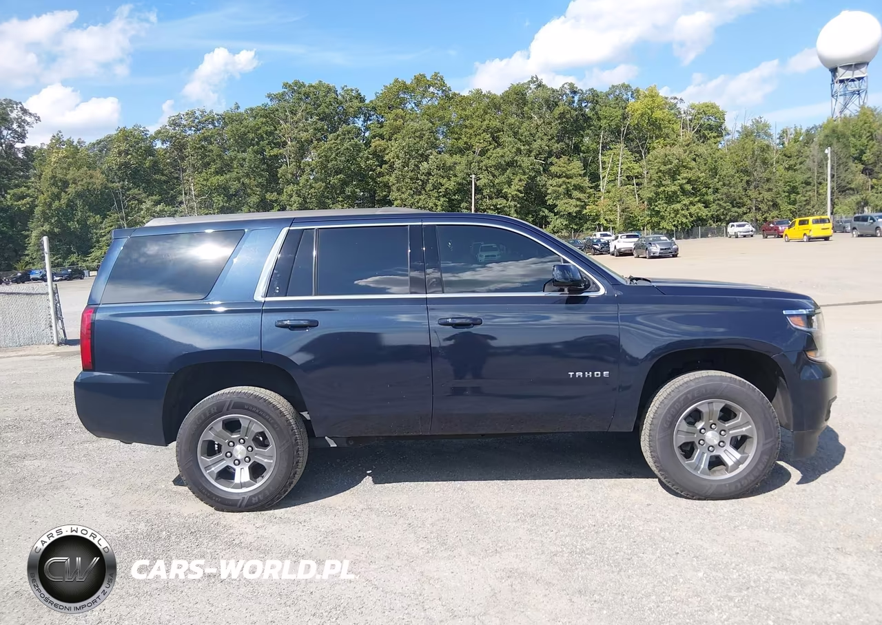 2018 Chevrolet Tahoe Ls VIN:1GNSKAEC9JR338593 - 17