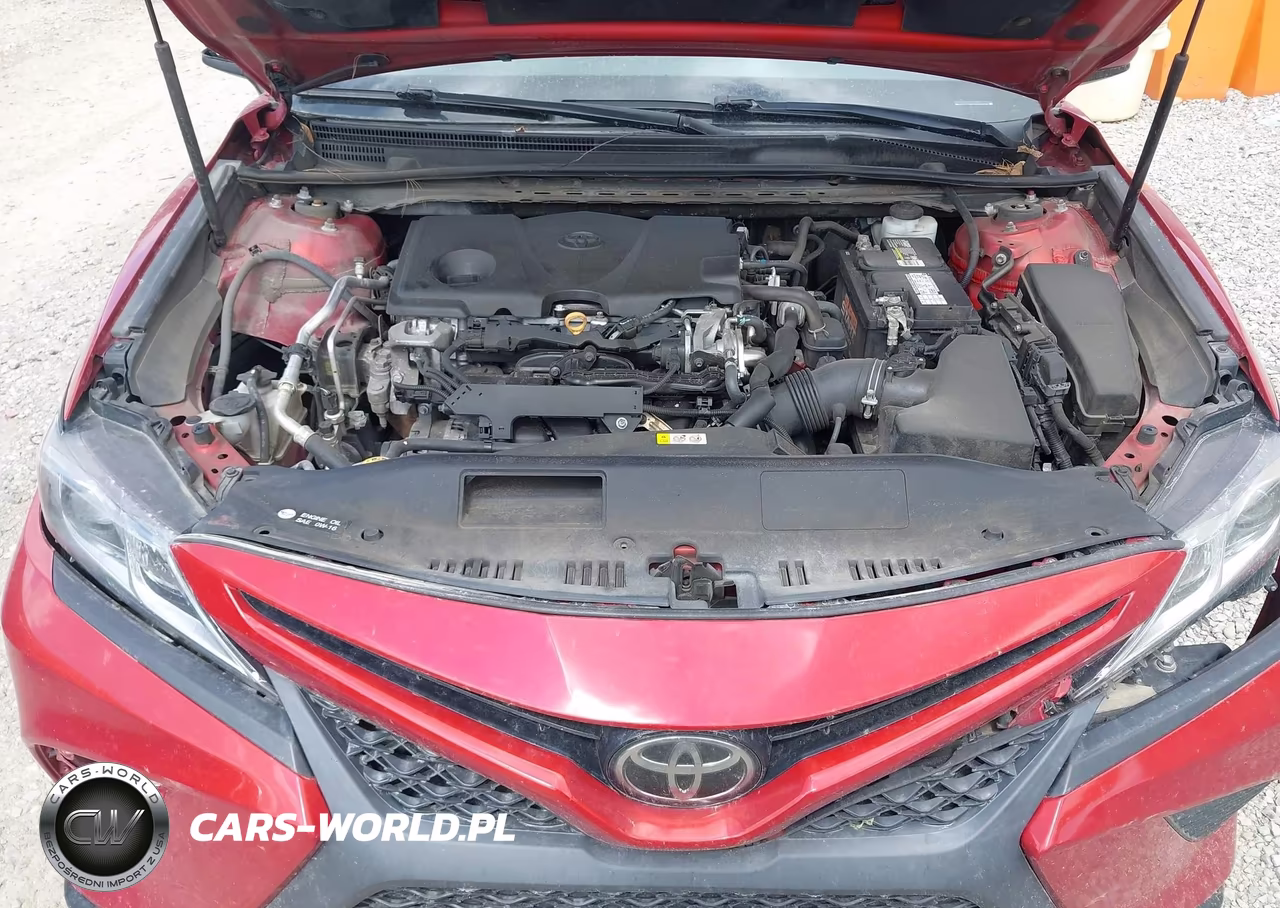 2019 Toyota Camry Se VIN:4T1B11HK1KU281234 - 10