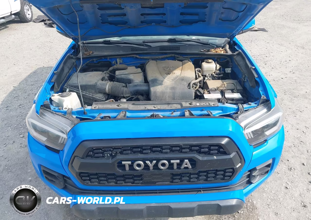 2019 Toyota Tacoma Trd Pro VIN:5TFCZ5AN5KX201476 - 10