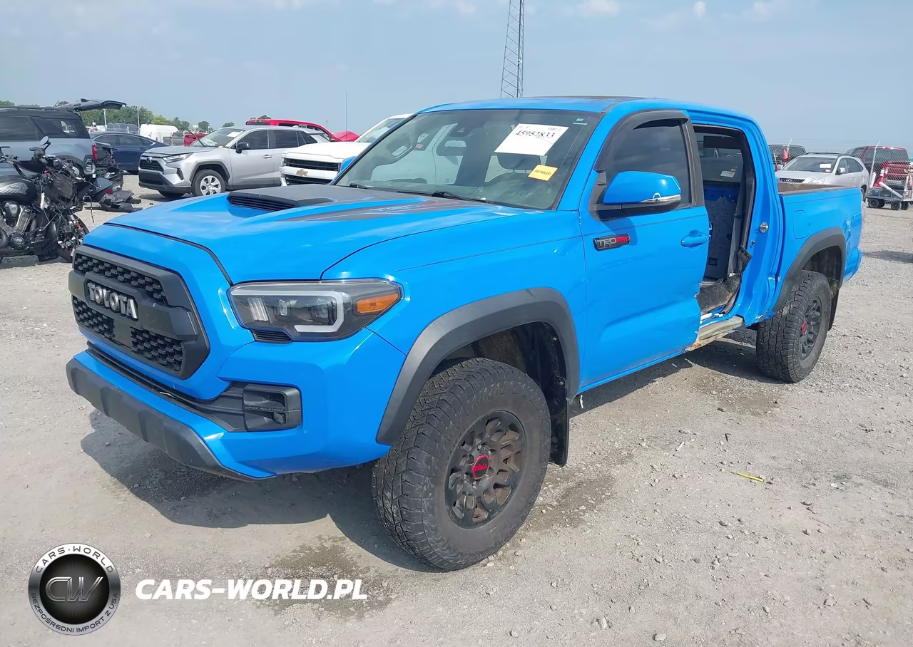 2019 Toyota Tacoma Trd Pro VIN:5TFCZ5AN5KX201476 - 2