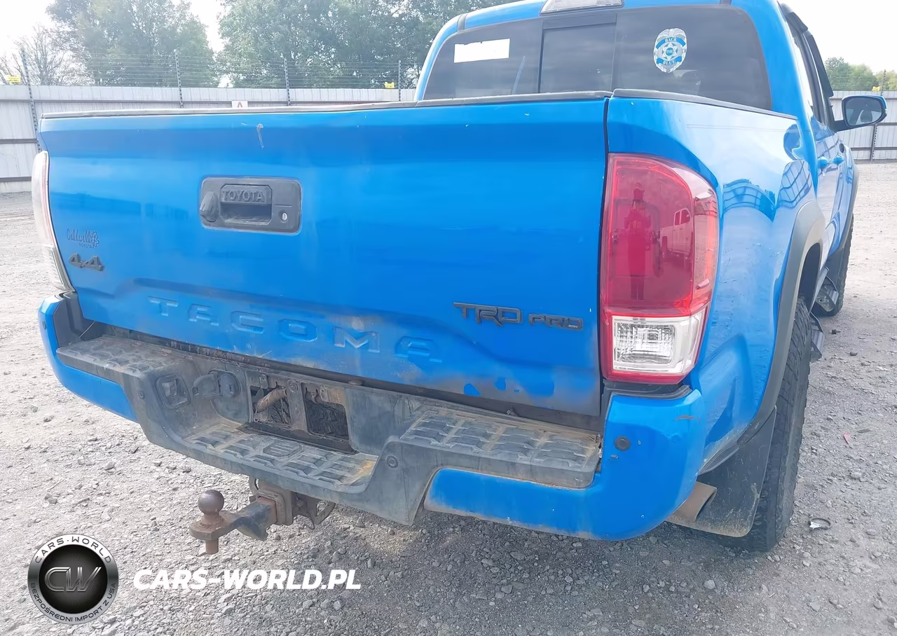 2019 Toyota Tacoma Trd Pro VIN:5TFCZ5AN5KX201476 - 22