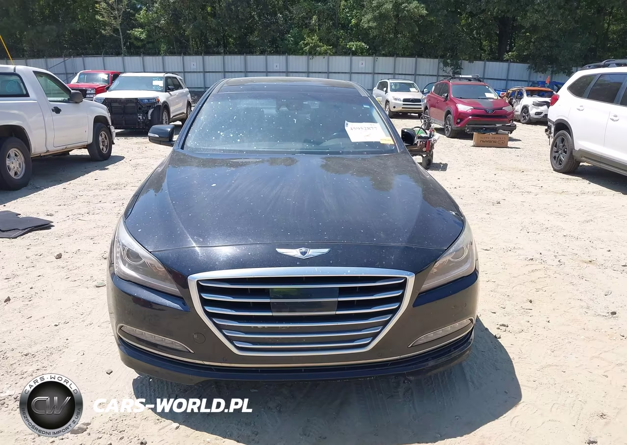 2015 Hyundai Genesis 5.0 VIN:KMHGN4JF8FU069011 - 12