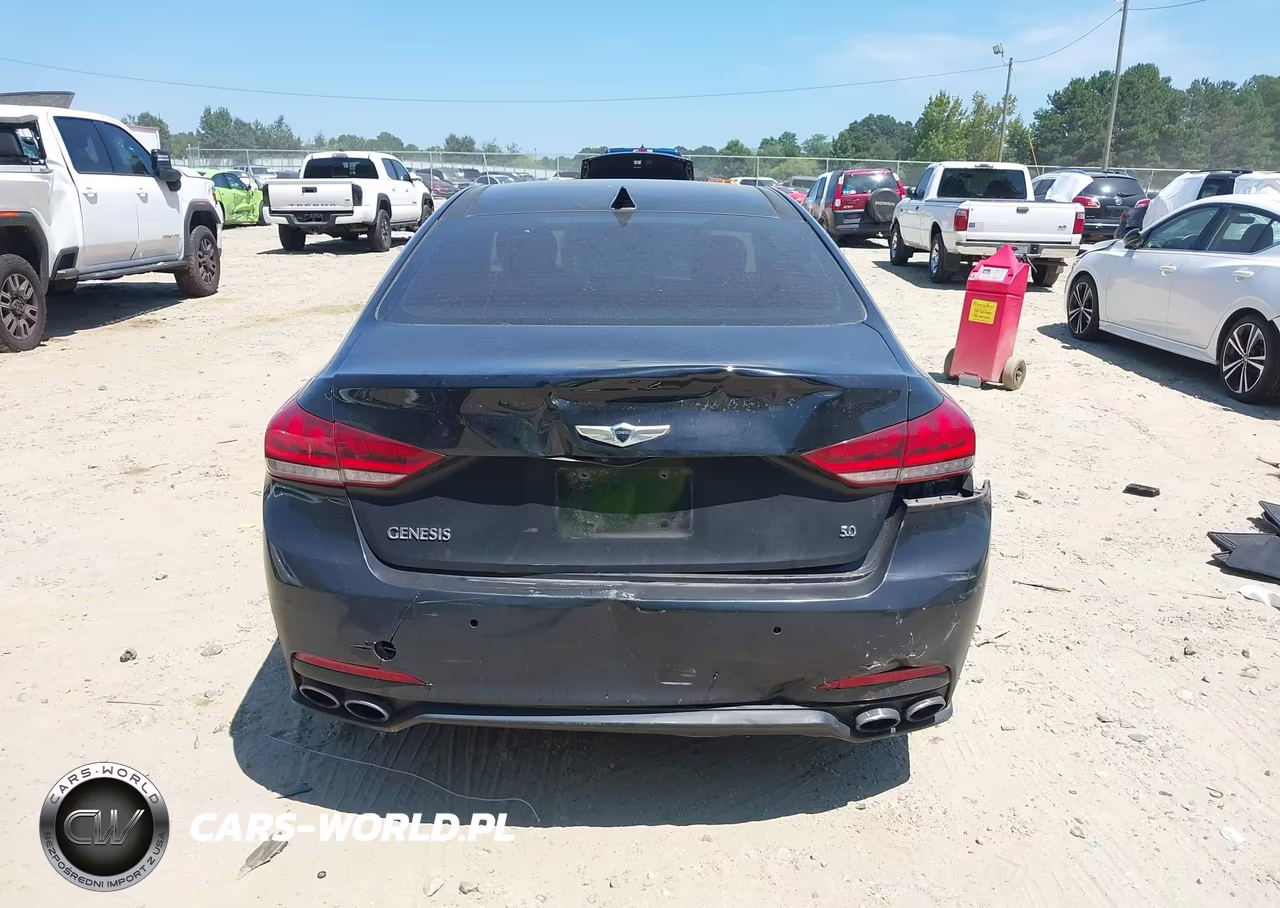 2015 Hyundai Genesis 5.0 VIN:KMHGN4JF8FU069011 - 16