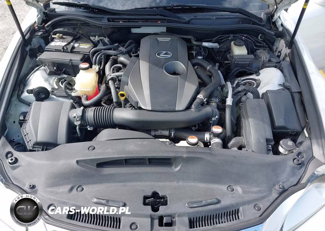 2016 Lexus Is 200T VIN:JTHBA1D26G5004069 - 10
