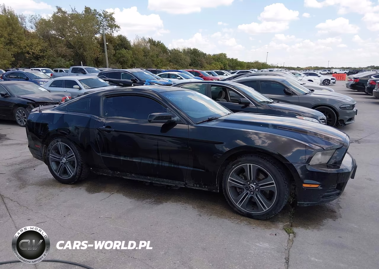 2013 Ford Mustang V6 VIN:1ZVBP8AM1D5215946 - 13