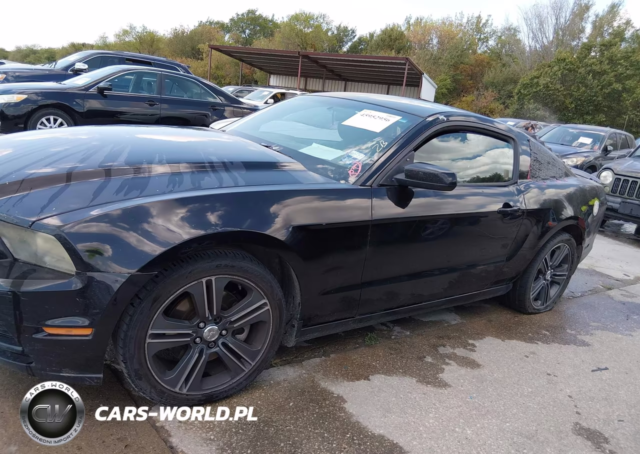 2013 Ford Mustang V6 VIN:1ZVBP8AM1D5215946 - 14