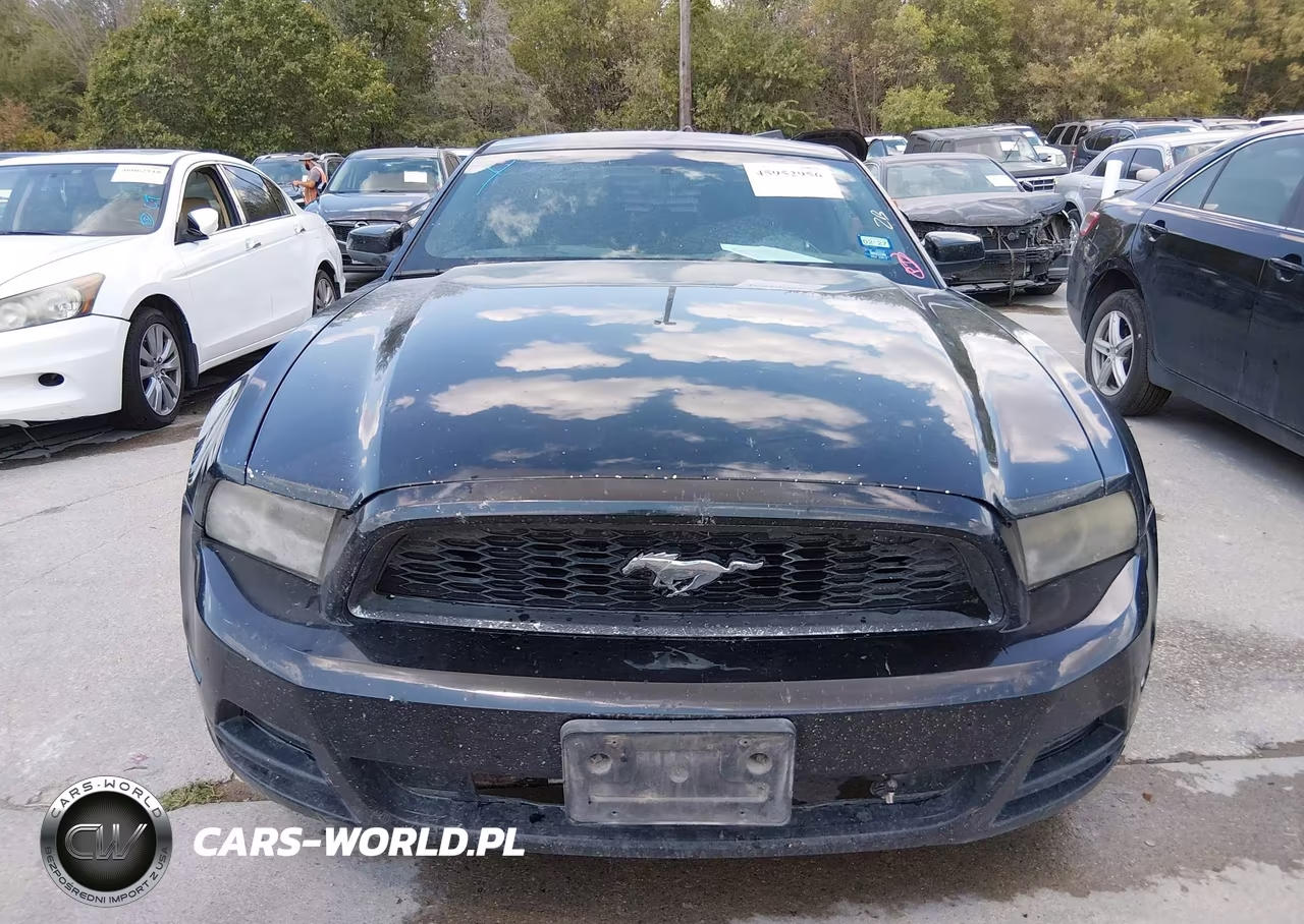 2013 Ford Mustang V6 VIN:1ZVBP8AM1D5215946 - 6
