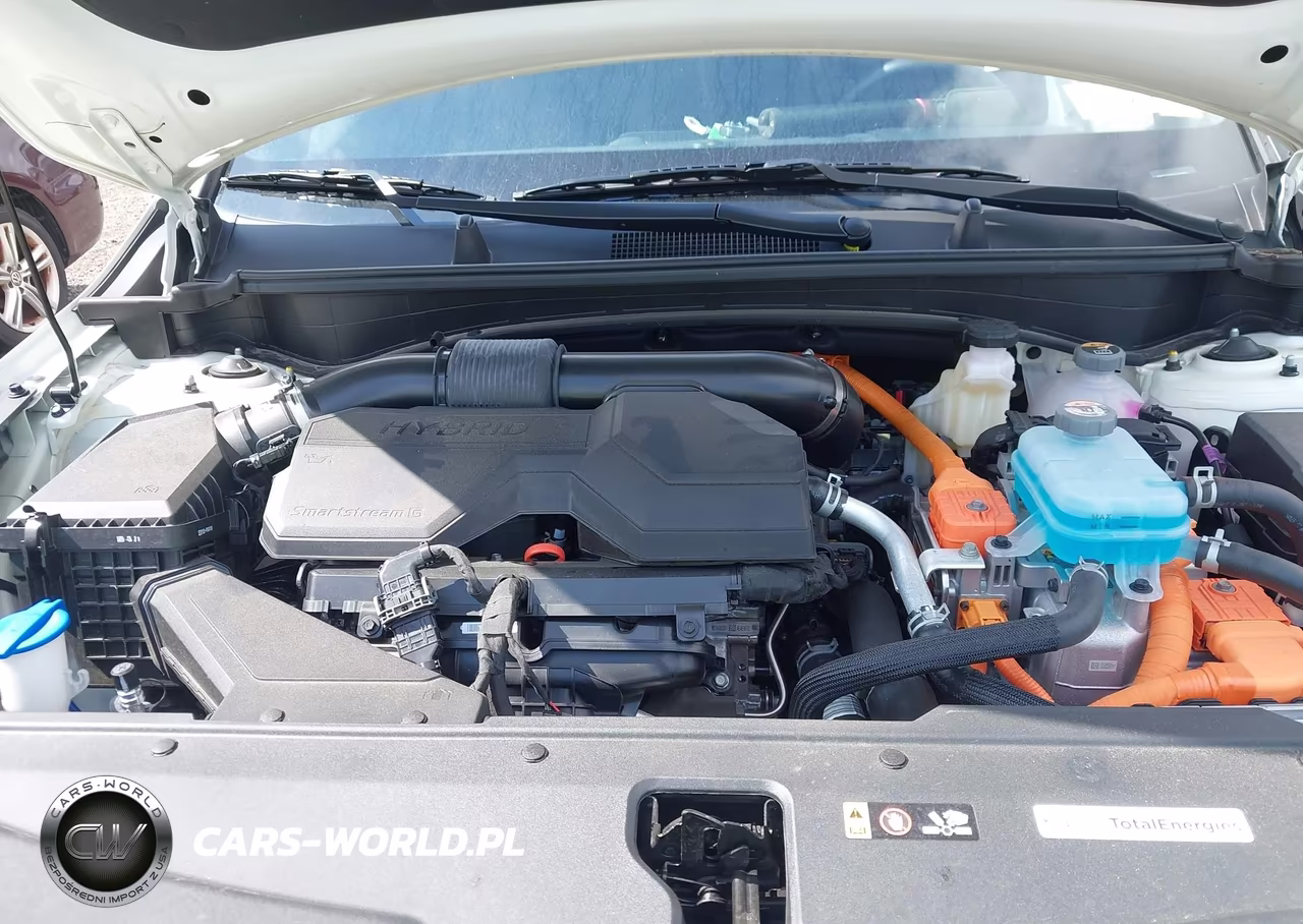 2026 Kia Sportage Plug-In Hybrid X-Line VIN:KNDPYDDH9T7324008 - 10