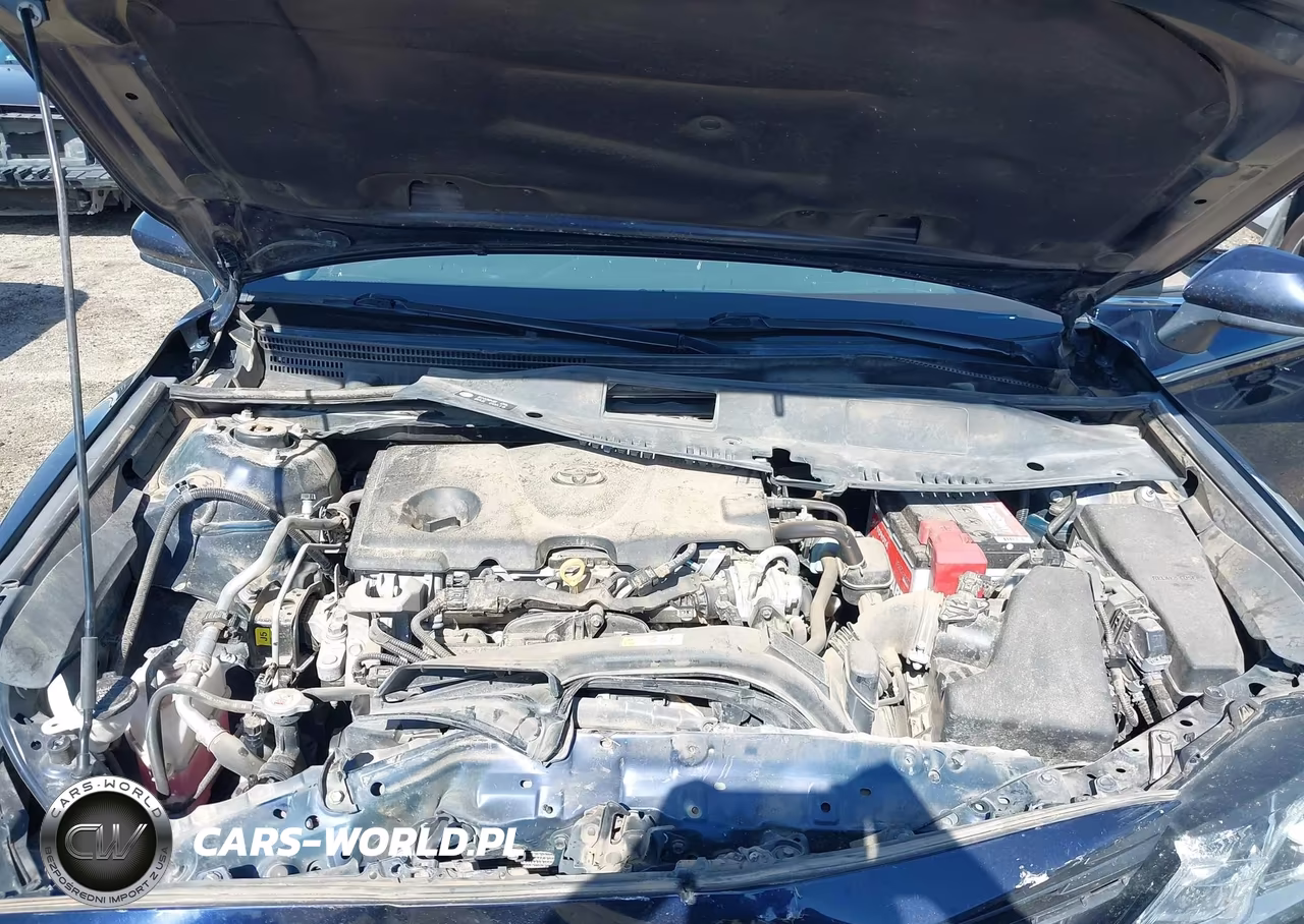 2021 Toyota Camry Le VIN:4T1C11AK1MU596732 - 10