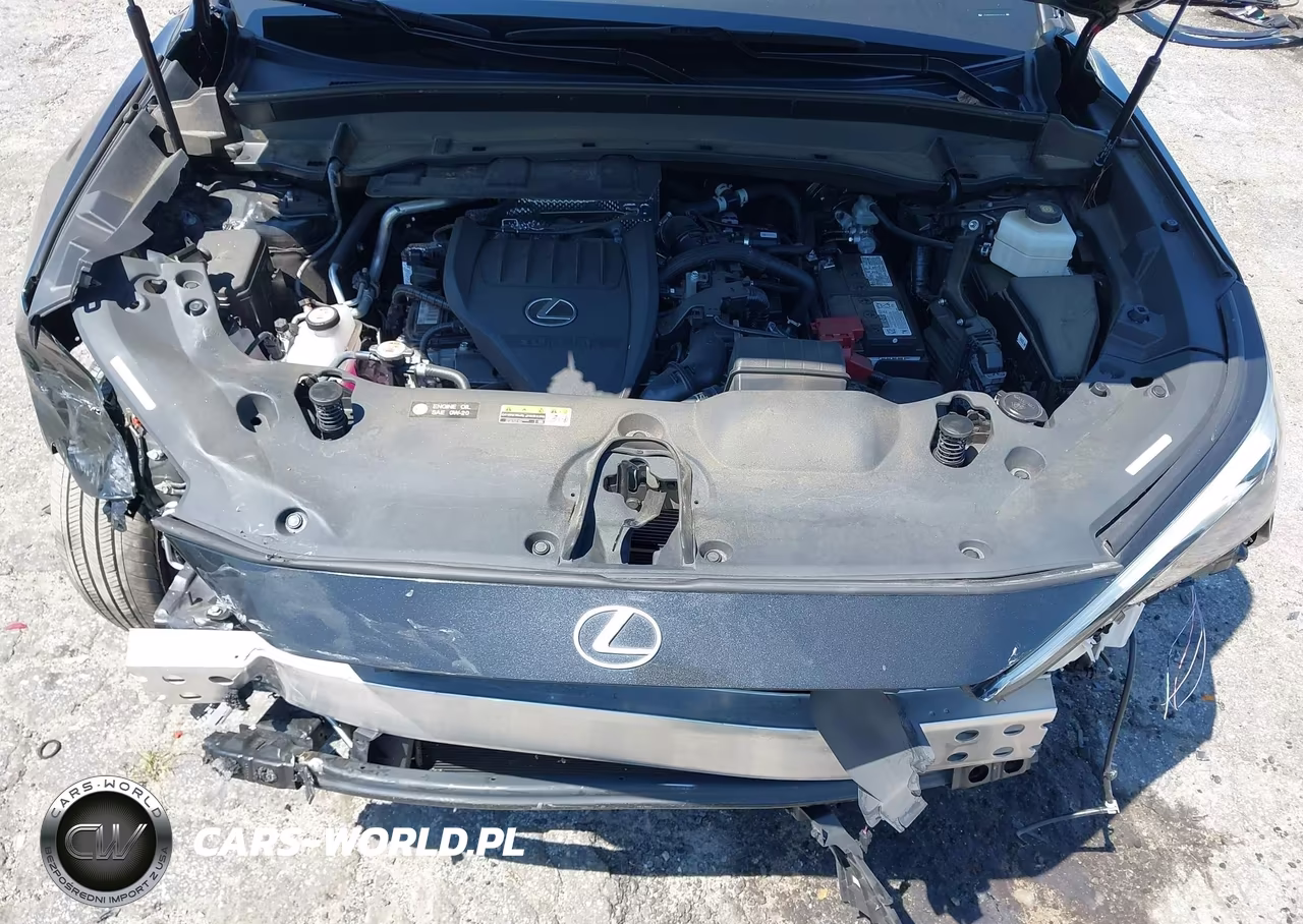 2024 Lexus Tx 350 Luxury VIN:5TDAAAA65RS003612 - 10