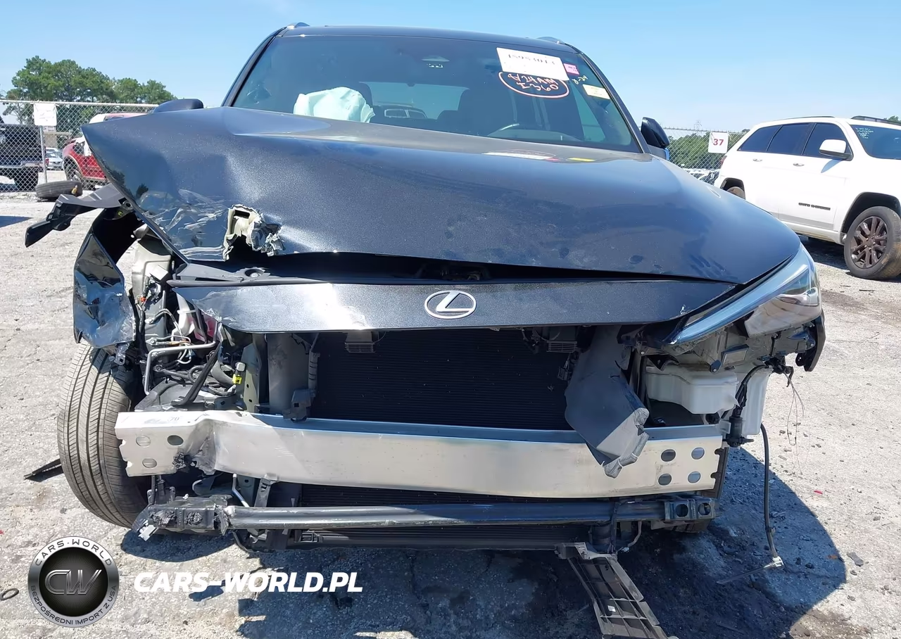 2024 Lexus Tx 350 Luxury VIN:5TDAAAA65RS003612 - 13