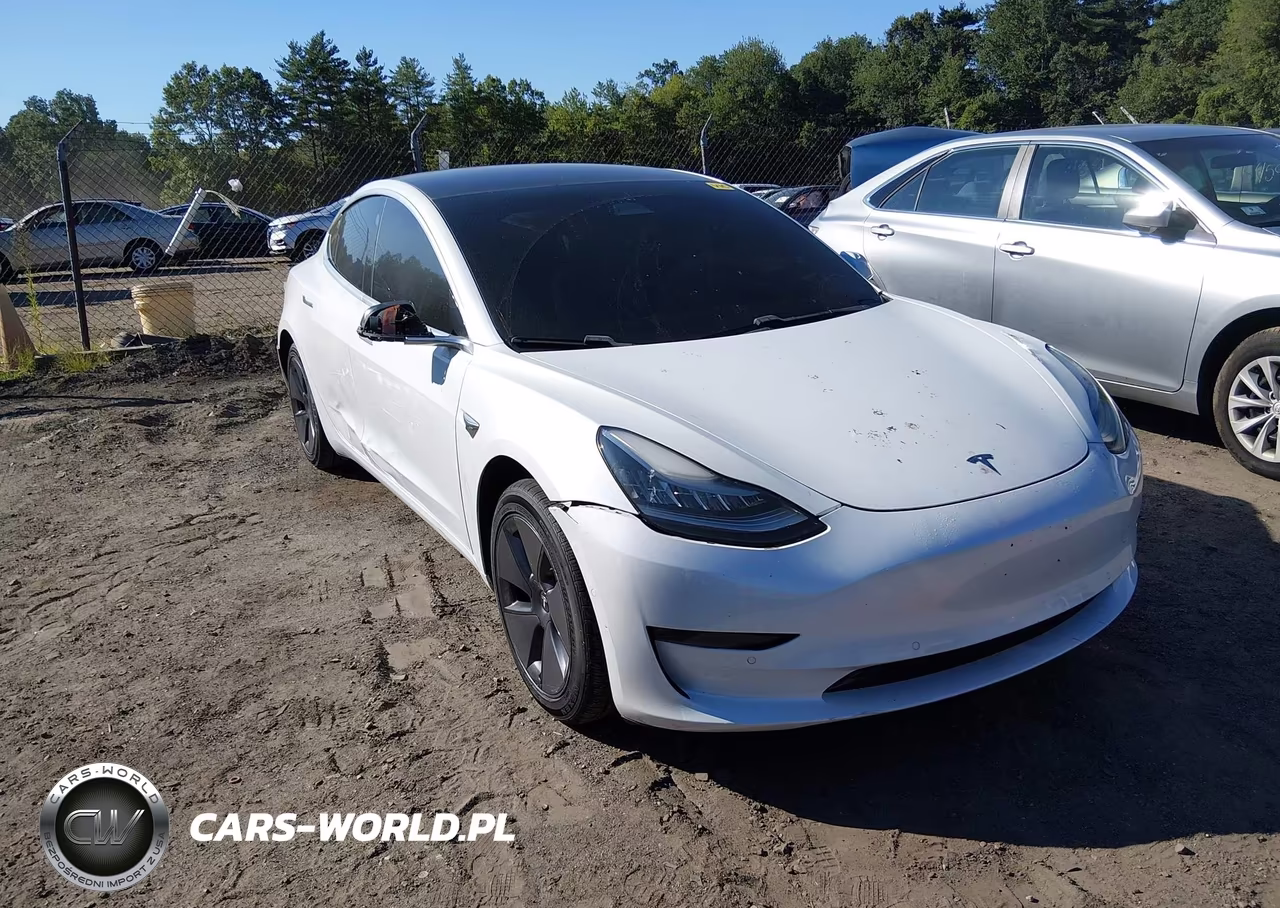 2020 Tesla Model 3 Standard Range Plus Rear-Wheel Drive-Standard Range Rear-Wheel Drive