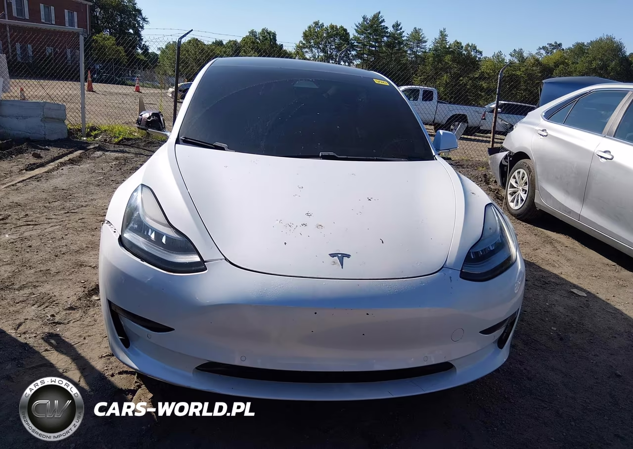 2020 Tesla Model 3 Standard Range Plus Rear-Wheel Drive-Standard Range Rear-Wheel Drive VIN:5YJ3E1EA8LF805305 - 11