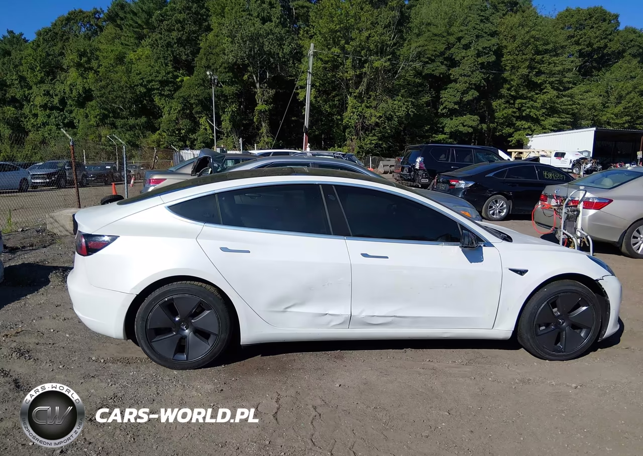 2020 Tesla Model 3 Standard Range Plus Rear-Wheel Drive-Standard Range Rear-Wheel Drive VIN:5YJ3E1EA8LF805305 - 12