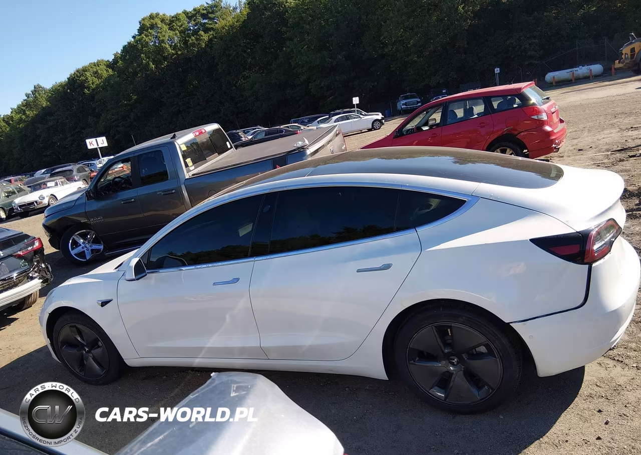 2020 Tesla Model 3 Standard Range Plus Rear-Wheel Drive-Standard Range Rear-Wheel Drive VIN:5YJ3E1EA8LF805305 - 13