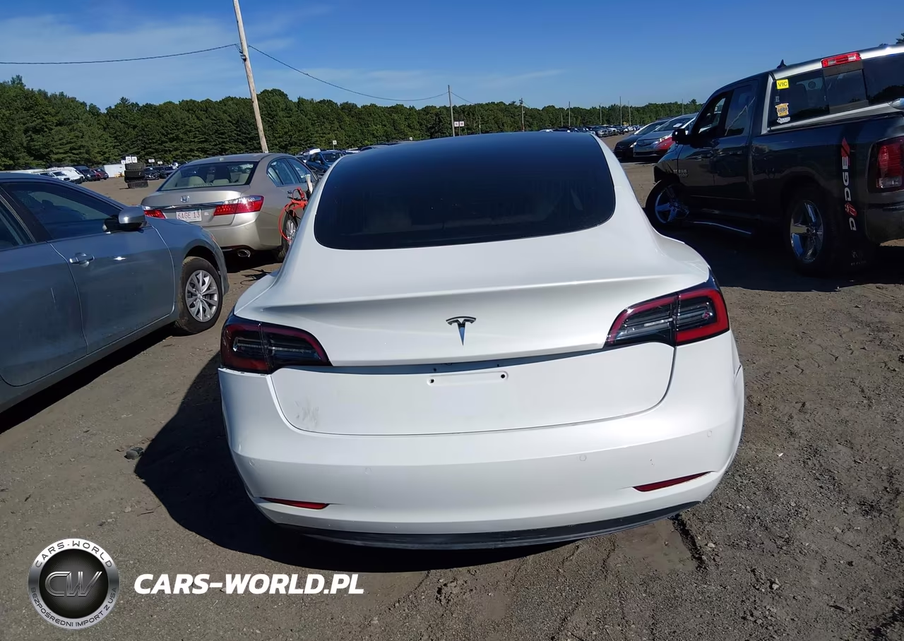 2020 Tesla Model 3 Standard Range Plus Rear-Wheel Drive-Standard Range Rear-Wheel Drive VIN:5YJ3E1EA8LF805305 - 15