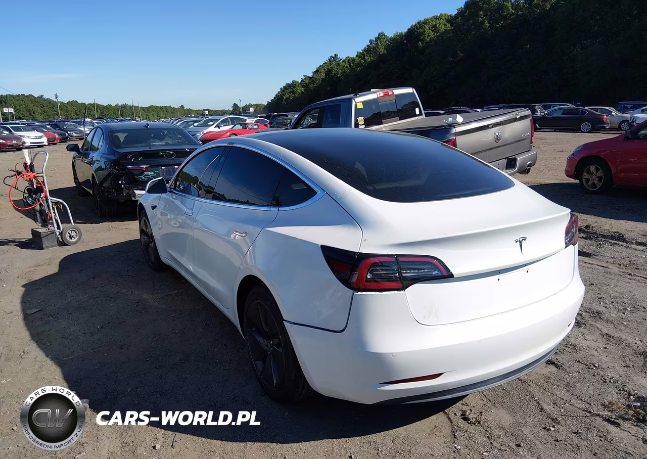 2020 Tesla Model 3 Standard Range Plus Rear-Wheel Drive-Standard Range Rear-Wheel Drive VIN:5YJ3E1EA8LF805305 - 3