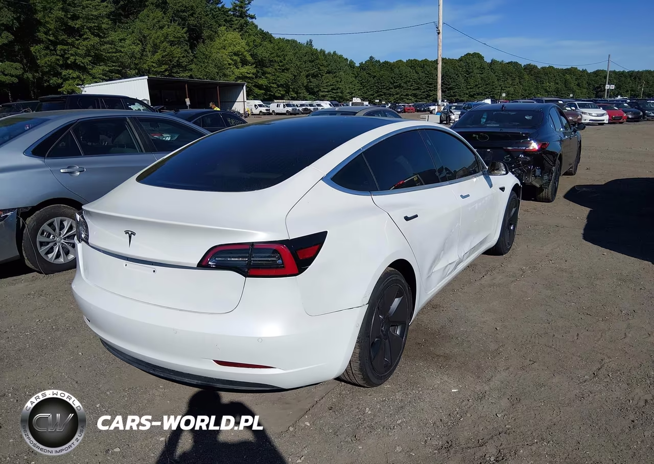 2020 Tesla Model 3 Standard Range Plus Rear-Wheel Drive-Standard Range Rear-Wheel Drive VIN:5YJ3E1EA8LF805305 - 4