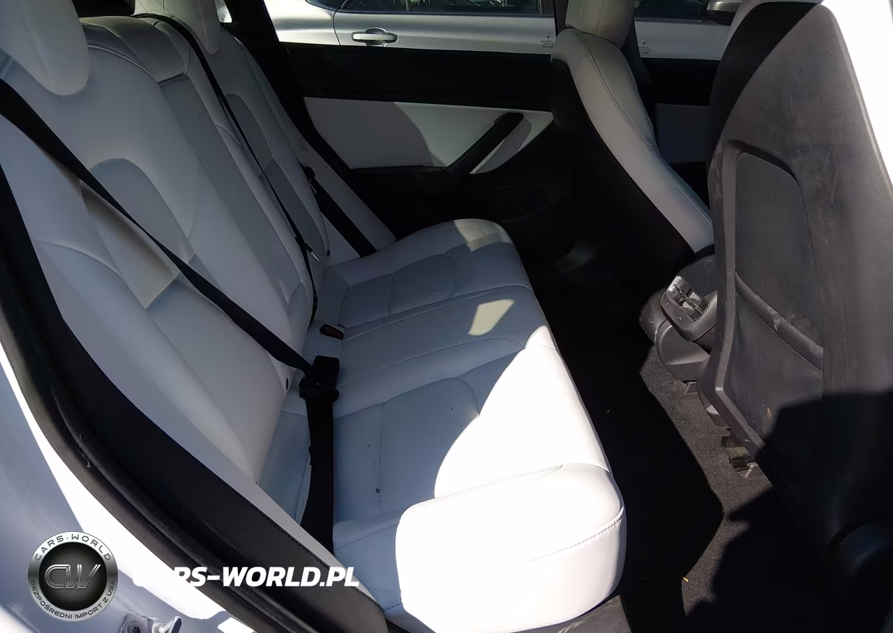 2020 Tesla Model 3 Standard Range Plus Rear-Wheel Drive-Standard Range Rear-Wheel Drive VIN:5YJ3E1EA8LF805305 - 8