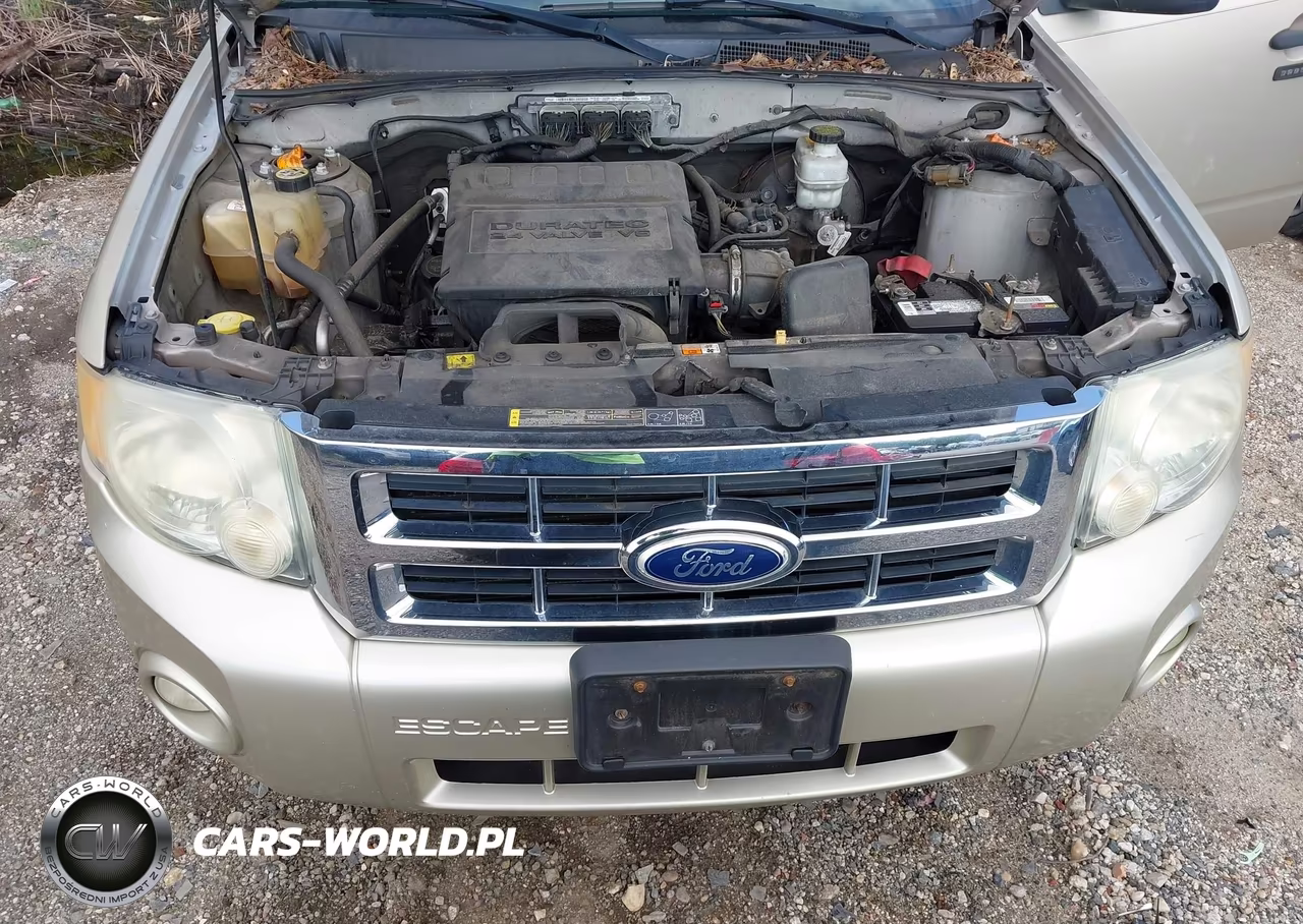 2011 Ford Escape Xlt VIN:1FMCU0DG3BKA19881 - 10