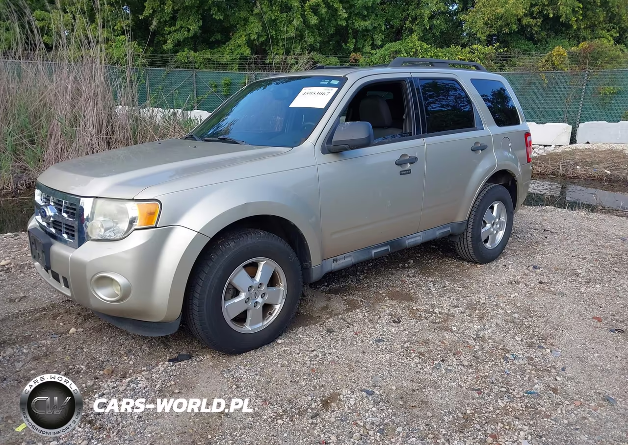 2011 Ford Escape Xlt VIN:1FMCU0DG3BKA19881 - 2