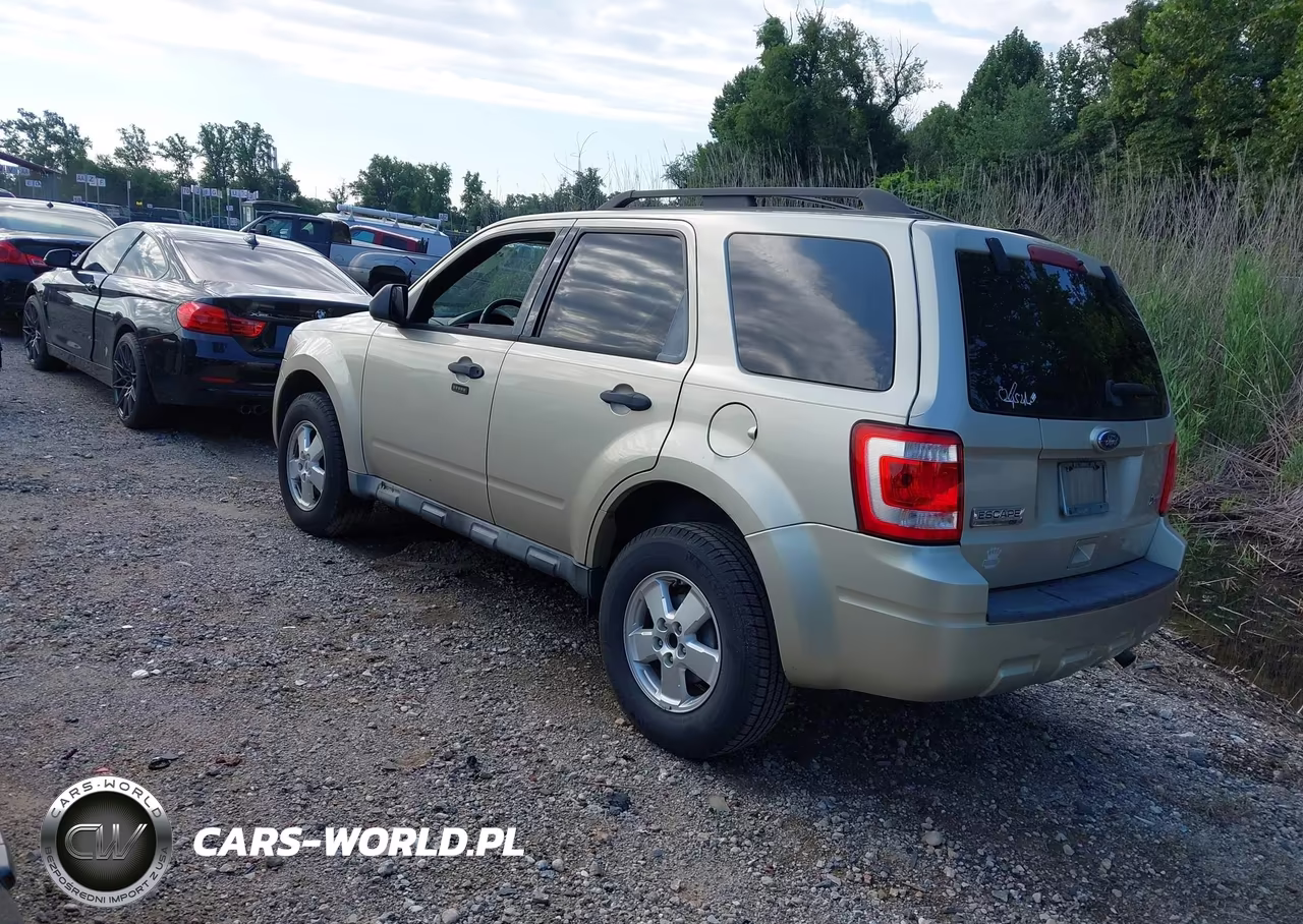 2011 Ford Escape Xlt VIN:1FMCU0DG3BKA19881 - 3