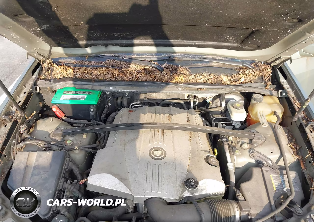2005 Cadillac Srx V8 VIN:1GYEE63A150172652 - 10