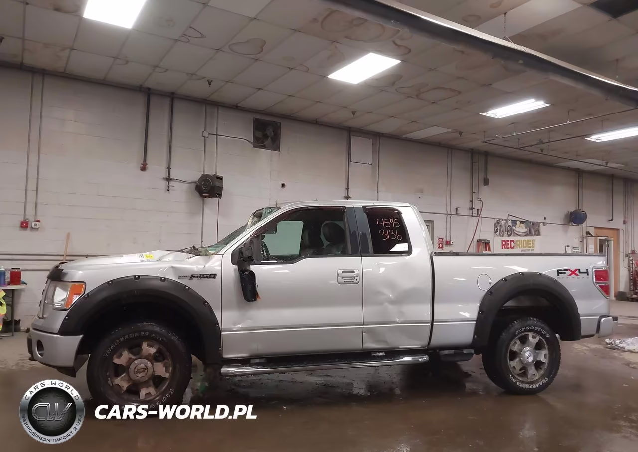 2010 Ford F-150 Fx4-Lariat-Xl-Xlt VIN:1FTFX1EVXAFA16382 - 13