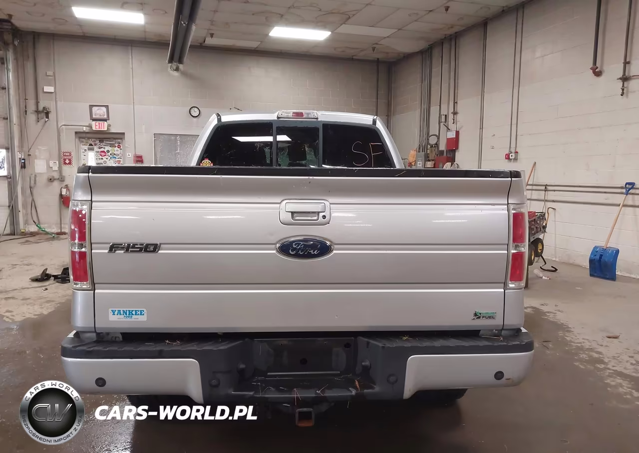 2010 Ford F-150 Fx4-Lariat-Xl-Xlt VIN:1FTFX1EVXAFA16382 - 14