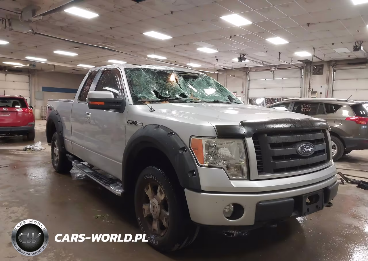 2010 Ford F-150 Fx4-Lariat-Xl-Xlt VIN:1FTFX1EVXAFA16382 - 16