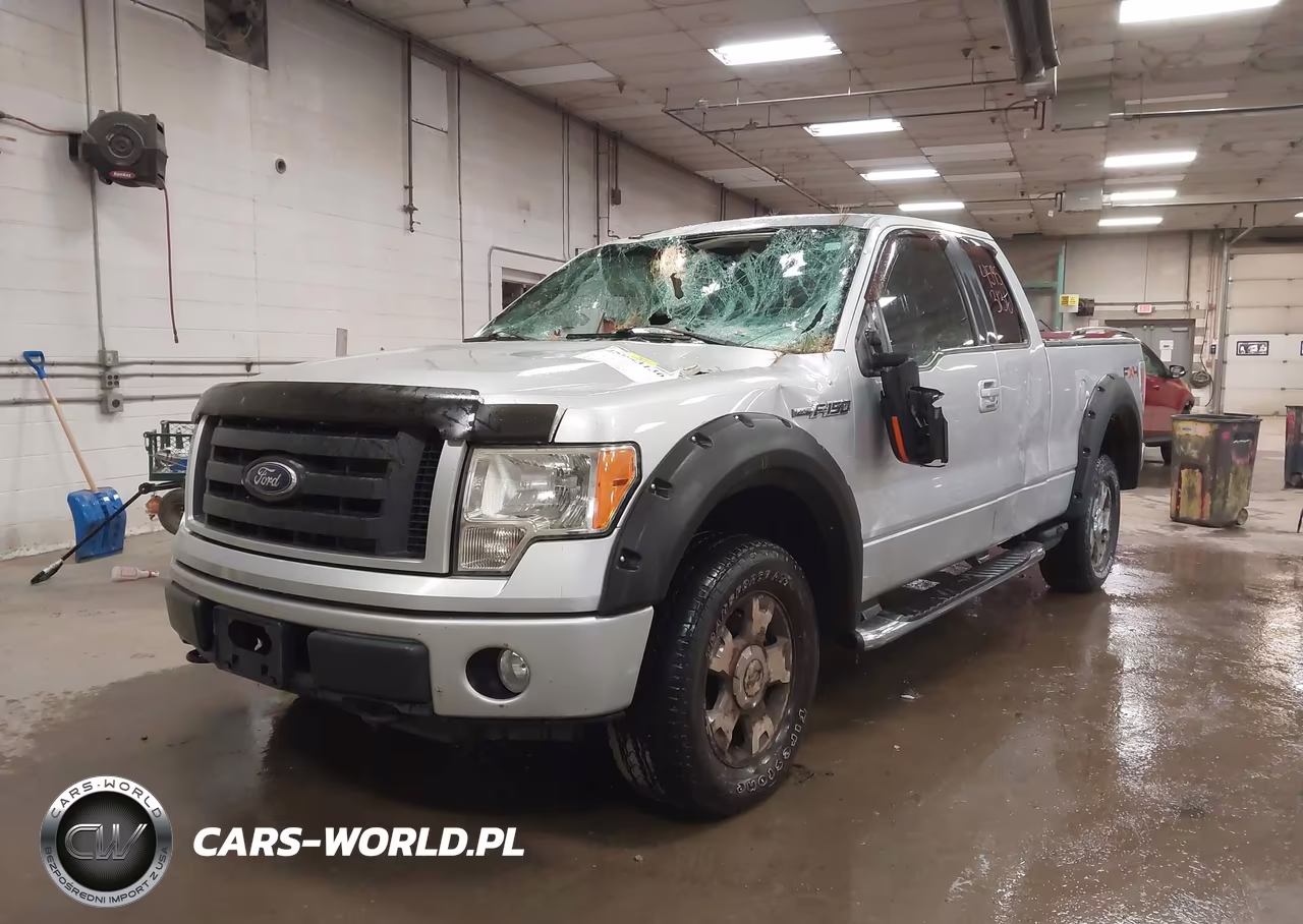 2010 Ford F-150 Fx4-Lariat-Xl-Xlt VIN:1FTFX1EVXAFA16382 - 2