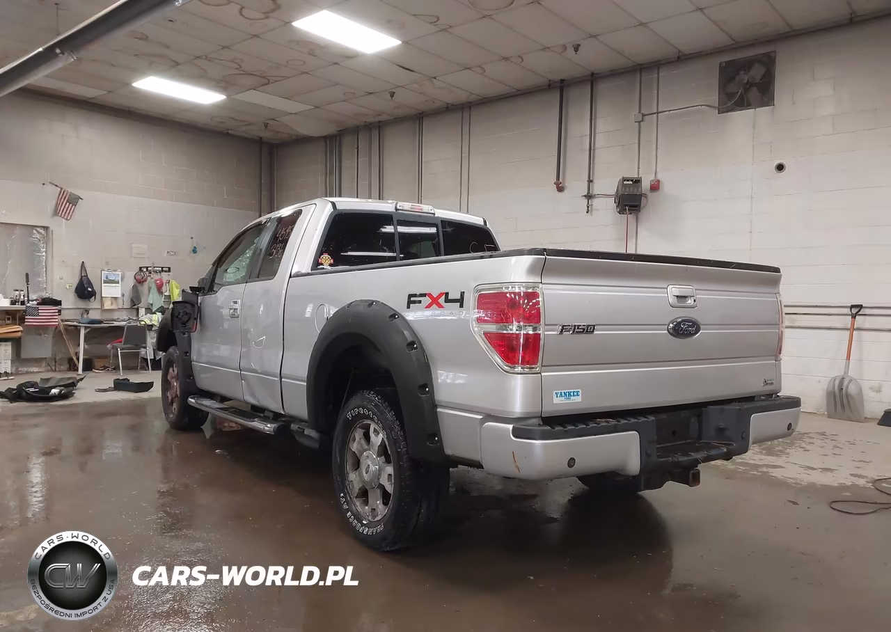 2010 Ford F-150 Fx4-Lariat-Xl-Xlt VIN:1FTFX1EVXAFA16382 - 3