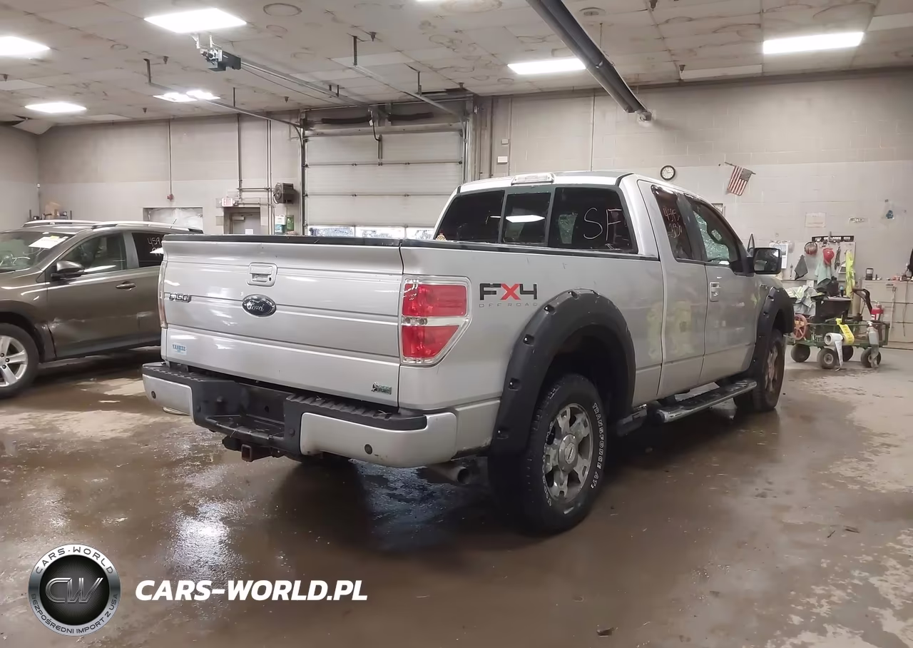 2010 Ford F-150 Fx4-Lariat-Xl-Xlt VIN:1FTFX1EVXAFA16382 - 4