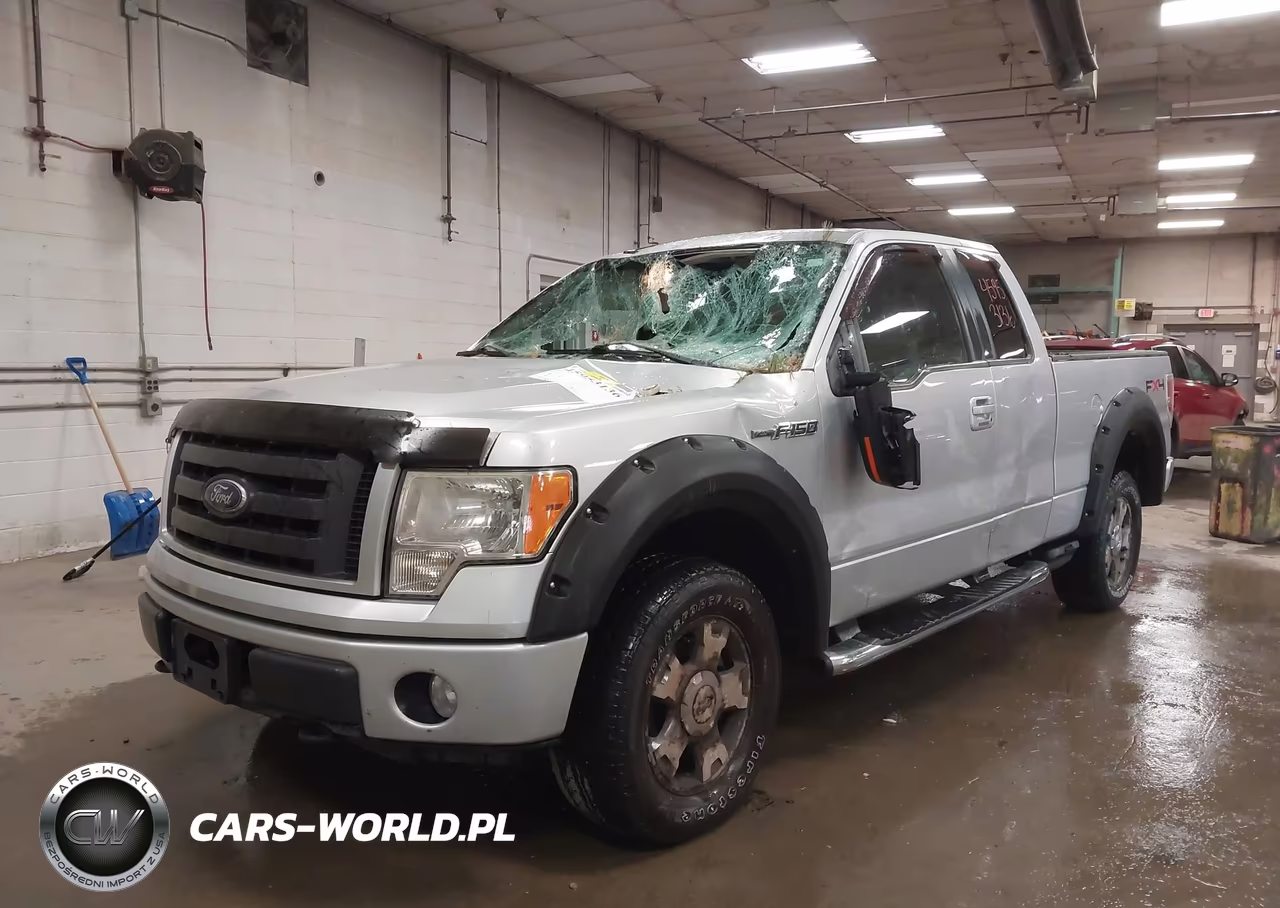 2010 Ford F-150 Fx4-Lariat-Xl-Xlt VIN:1FTFX1EVXAFA16382 - 6