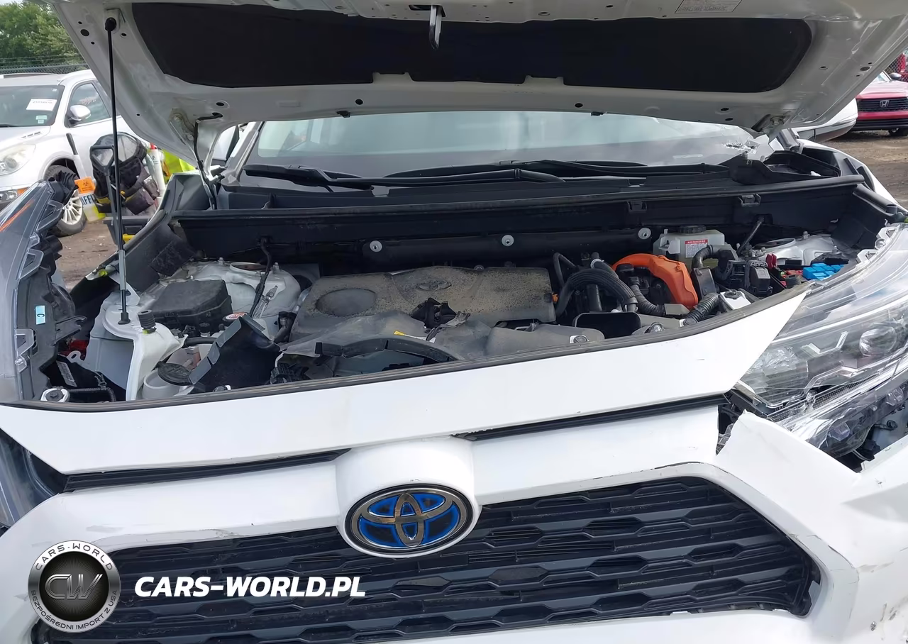 2020 Toyota Rav4 Hybrid Xle VIN:2T3RWRFV8LW066499 - 10