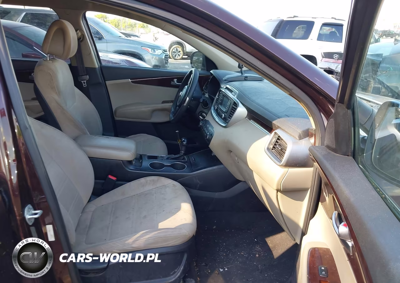 2016 Kia Sorento 2.4L Lx VIN:5XYPG4A31GG043101 - 5