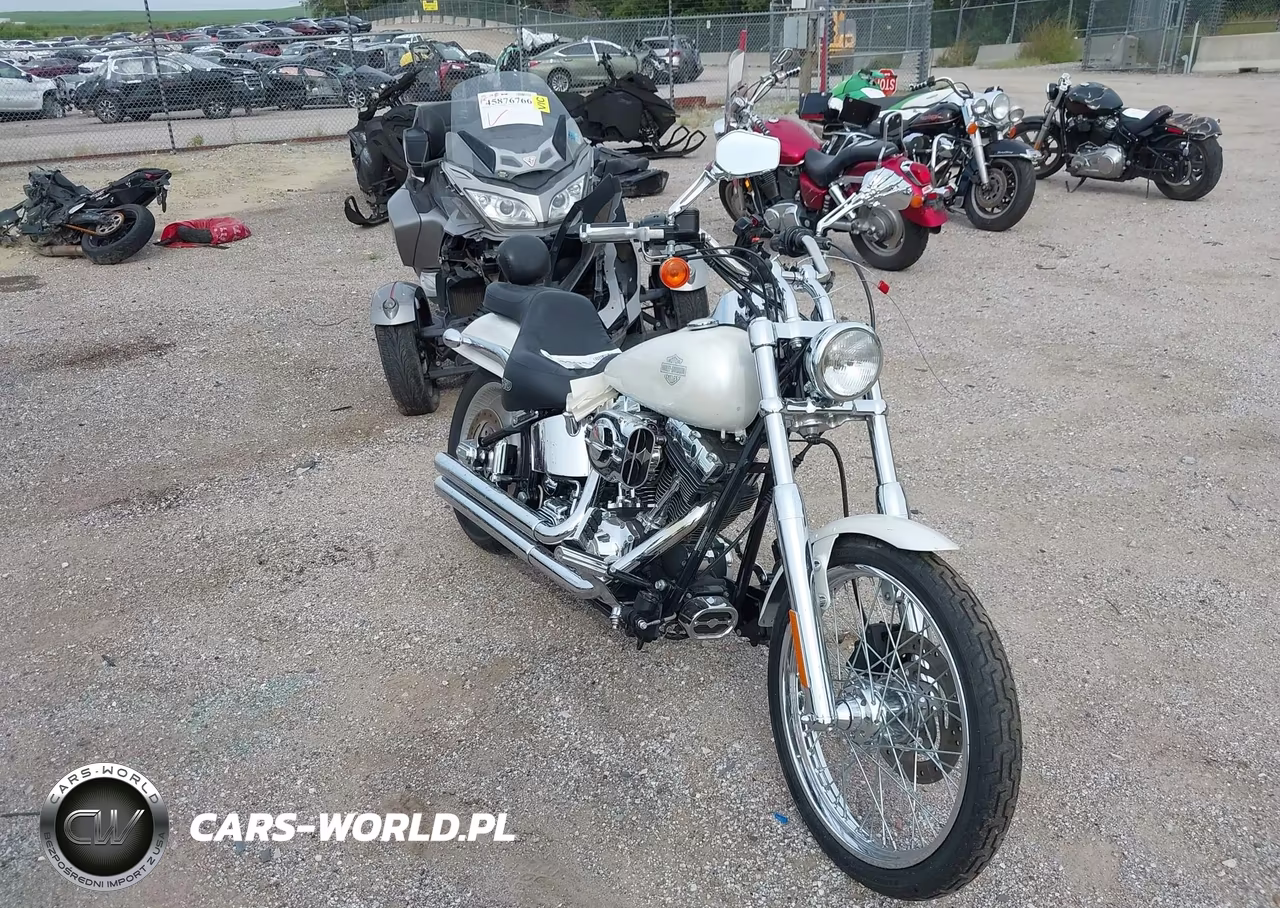 2004 Harley-Davidson Fxstd