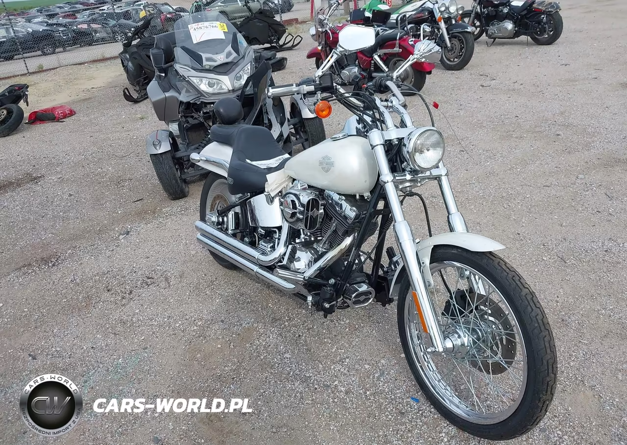 2004 Harley-Davidson Fxstd VIN:1HD1BSY194Y011835 - 13